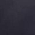 navy color
