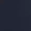 navy color