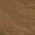 camel color