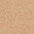 camel color