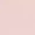 mink color