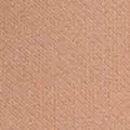 camel color