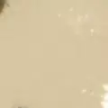 gold color