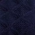 navy color
