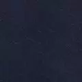 navy color