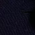 navy color