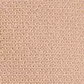 camel color