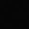 navy color