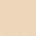 ecru color