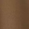 camel color