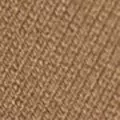 camel color