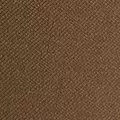 camel color