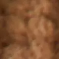 ginger color