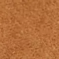 camel color