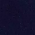 navy color