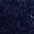 navy color