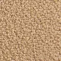 camel color
