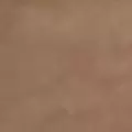 neutral color