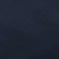 navy color