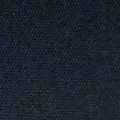 navy color