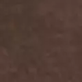 chocolate color