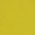 lime color