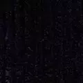 navy color