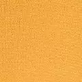 mango color