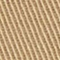 camel color