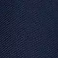 navy color