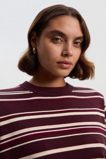Burgundy Red Stripe Viscose Blend Crew Neck Knit Top