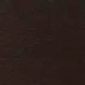 chocolate color