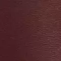 oxblood color