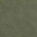 khaki color