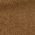 tan color