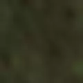 khaki color