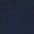navy color
