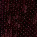 burgundy color