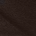 chocolate color