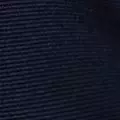 navy color