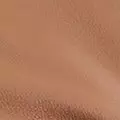 camel color