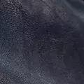 navy color